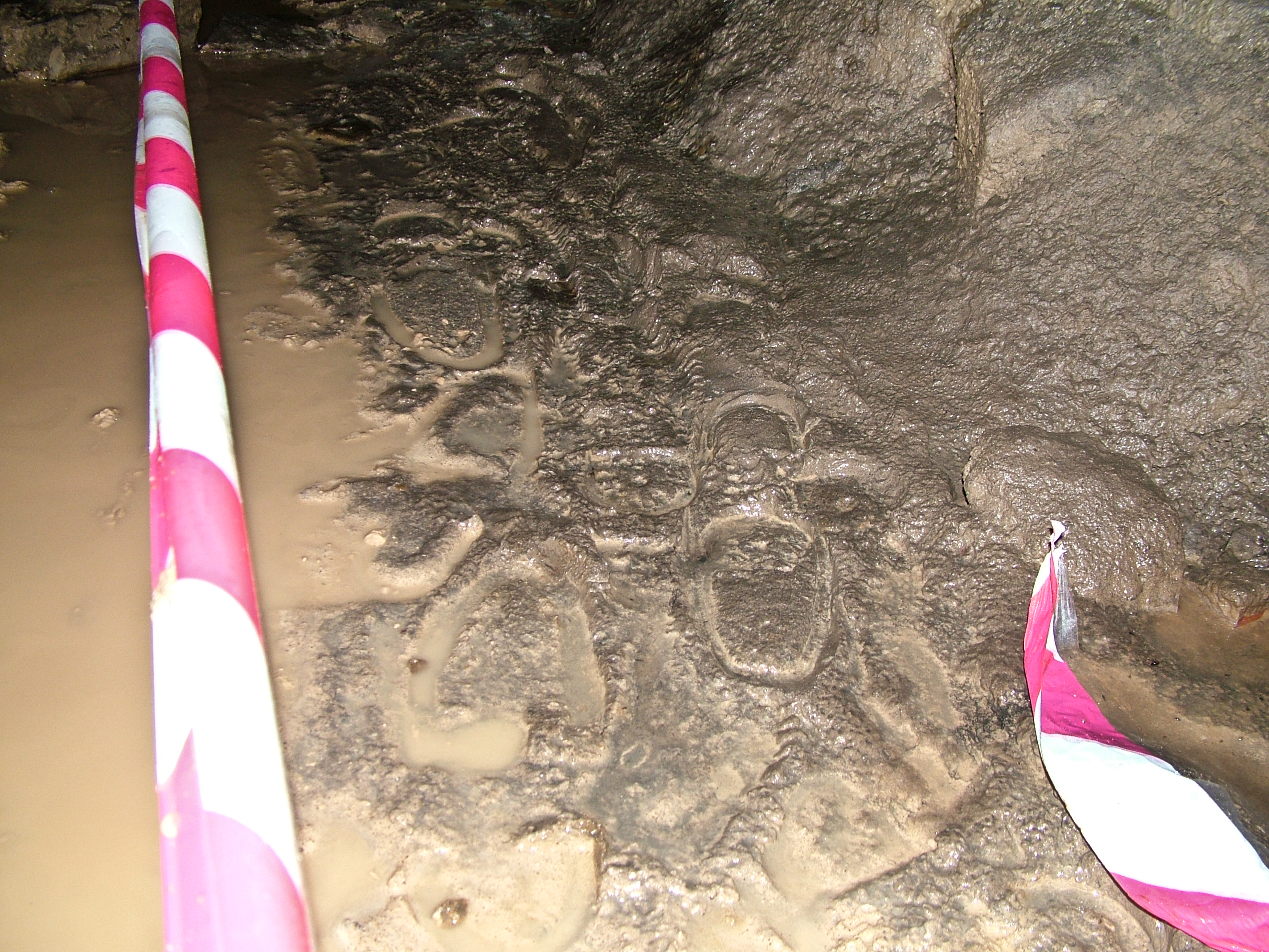 Old miners clog prints in a cross cut above the adit 2